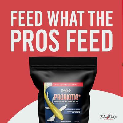 Show full view: Blue Ridge Koi & Goldfish Probiotic Plus Formula Koi & Goldfish Food, 5-lb bag slide 9 of 10