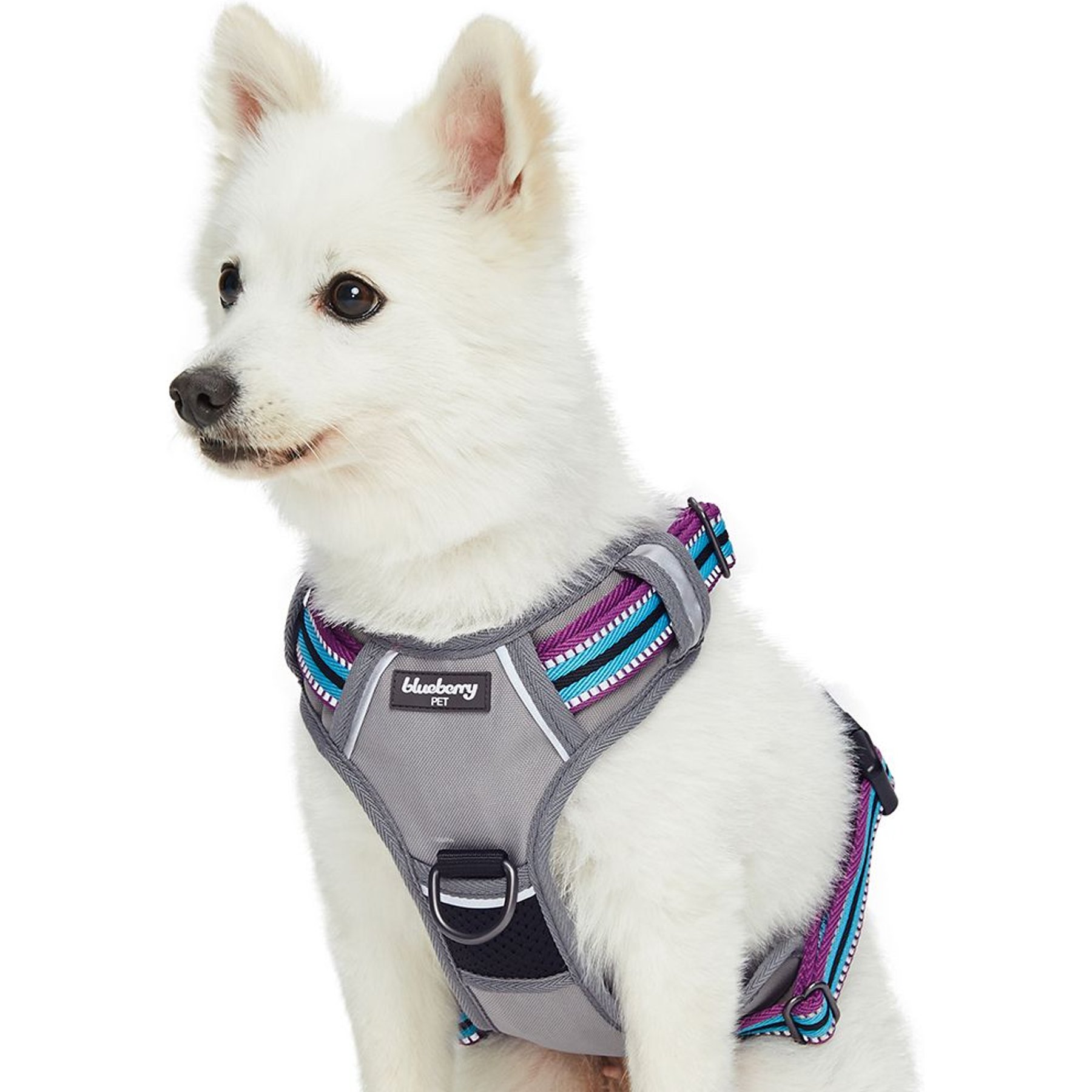 Blueberry Pet 3M Multi-Colored Stripe Mesh Reflective Back Clip Dog Harness, Violet & Celeste, Large: 28.5 to 38.5-in chest