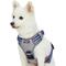 Show in main carousel: Blueberry Pet 3M Multi-Colored Stripe Mesh Reflective Back Clip Dog Harness, Violet & Celeste, Large: 28.5 to 38.5-in chest slide 1 of 11