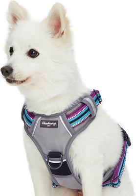 Show full view: Blueberry Pet 3M Multi-Colored Stripe Mesh Reflective Back Clip Dog Harness, Violet & Celeste, Large: 28.5 to 38.5-in chest slide 1 of 11