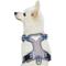 Show in main carousel: Blueberry Pet 3M Multi-Colored Stripe Mesh Reflective Back Clip Dog Harness, Violet & Celeste, Large: 28.5 to 38.5-in chest slide 2 of 11