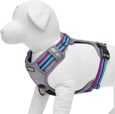 Show full view: Blueberry Pet 3M Multi-Colored Stripe Mesh Reflective Back Clip Dog Harness, Violet & Celeste, Large: 28.5 to 38.5-in chest slide 3 of 11