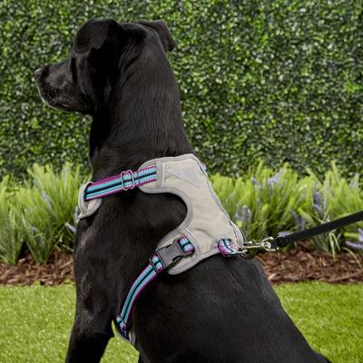 Show full view: Blueberry Pet 3M Multi-Colored Stripe Mesh Reflective Back Clip Dog Harness, Violet & Celeste, Large: 28.5 to 38.5-in chest slide 6 of 11