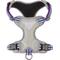 Show in main carousel: Blueberry Pet 3M Multi-Colored Stripe Mesh Reflective Back Clip Dog Harness, Violet & Celeste, Large: 28.5 to 38.5-in chest slide 8 of 11