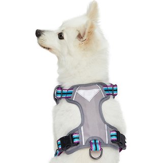 Blueberry Pet 3M Multi-Colored Stripe Mesh Reflective Back Clip Dog Harness, Violet & Celeste, Medium: 22 to 26.5-in chest slide 2 of 8