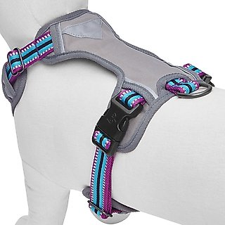 Blueberry Pet 3M Multi-Colored Stripe Mesh Reflective Back Clip Dog Harness, Violet & Celeste, Medium: 22 to 26.5-in chest slide 4 of 8