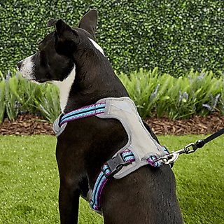Blueberry Pet 3M Multi-Colored Stripe Mesh Reflective Back Clip Dog Harness, Violet & Celeste, Medium: 22 to 26.5-in chest slide 6 of 8