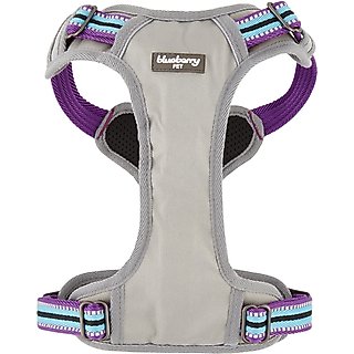 Blueberry Pet 3M Multi-Colored Stripe Mesh Reflective Back Clip Dog Harness, Violet & Celeste, Medium: 22 to 26.5-in chest slide 7 of 8