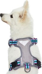 Blueberry Pet 3M Multi-Colored Stripe Mesh Reflective Back Clip Dog Harness, Violet & Celeste, Small: 17.5 to 21-in chest slide 2 of 8