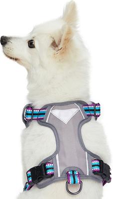 Show full view: Blueberry Pet 3M Multi-Colored Stripe Mesh Reflective Back Clip Dog Harness, Violet & Celeste, Small: 17.5 to 21-in chest slide 2 of 11