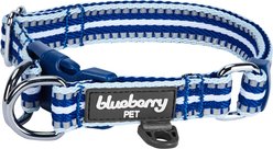 Blueberry Pet 3M Multi-Colored Stripe Polyester Reflective Dog Collar, Blue & White, Small: 12 to 16-in neck, 5/8-in wide