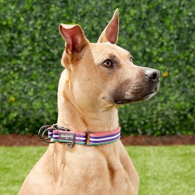 Show full view: Blueberry Pet 3M Multi-Colored Stripe Polyester Reflective Dog Collar, Bright Pink & Orchid, Large: 18 to 26-in neck, 1-in wide slide 5 of 8