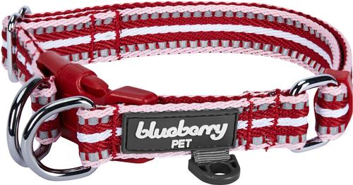 Show full view: Blueberry Pet 3M Multi-Colored Stripe Polyester Reflective Dog Collar, Marsala Red & Pink, Large: 18 to 26-in neck, 1-in wide slide 1 of 7