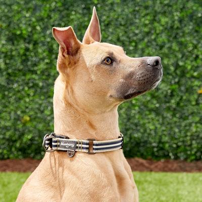 Show full view: Blueberry Pet 3M Multi-Colored Stripe Polyester Reflective Dog Collar, Olive & Blue-Gray, Large: 18 to 26-in neck, 1-in wide slide 5 of 8
