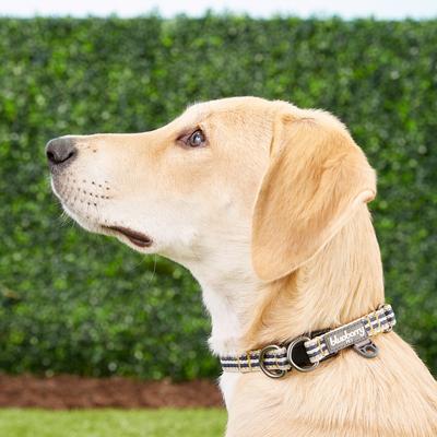 Show full view: Blueberry Pet 3M Multi-Colored Stripe Polyester Reflective Dog Collar, Olive & Blue-Gray, Small: 12 to 16-in neck, 5/8-in wide slide 5 of 8