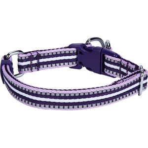 Blueberry Pet 3M Multi-Colored Stripe Polyester Reflective Dog Collar, Orchid & Lavender, Large: 18 to 26-in neck, 1-in wide