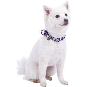 Blueberry Pet 3M Multi-Colored Stripe Polyester Reflective Dog Collar, Orchid & Lavender, Large: 18 to 26-in neck, 1-in wide