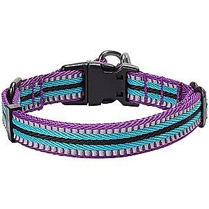 Blueberry Pet 3M Multi-Colored Stripe Polyester Reflective Dog Collar, Violet & Celeste, Large: 18 to 26-in neck, 1-in wide