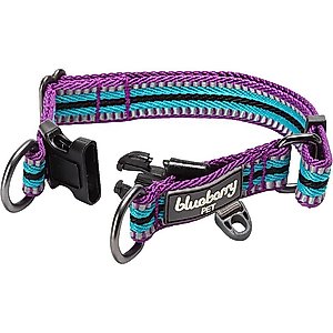 Blueberry Pet 3M Multi-Colored Stripe Polyester Reflective Dog Collar, Violet & Celeste, Large: 18 to 26-in neck, 1-in wide