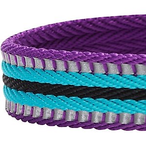 Blueberry Pet 3M Multi-Colored Stripe Polyester Reflective Dog Collar, Violet & Celeste, Large: 18 to 26-in neck, 1-in wide