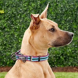 Blueberry Pet 3M Multi-Colored Stripe Polyester Reflective Dog Collar, Violet & Celeste, Large: 18 to 26-in neck, 1-in wide