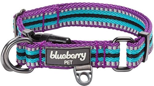 Show full view: Blueberry Pet 3M Multi-Colored Stripe Polyester Reflective Dog Collar, Violet & Celeste, Medium: 14.5 to 20-in neck, 3/4-in wide slide 1 of 9