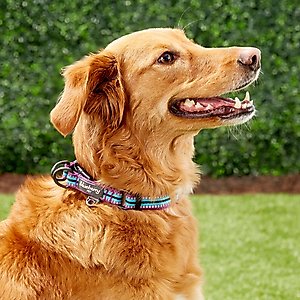 Blueberry Pet 3M Multi-Colored Stripe Polyester Reflective Dog Collar, Violet & Celeste, Medium: 14.5 to 20-in neck, 3/4-in wide