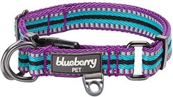 Blueberry Pet 3M Multi-Colored Stripe Polyester Reflective Dog Collar, Violet & Celeste, Small: 12 to 16-in neck, 5/8-in wide