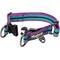 Show in main carousel: Blueberry Pet 3M Multi-Colored Stripe Polyester Reflective Dog Collar, Violet & Celeste, Small: 12 to 16-in neck, 5/8-in wide slide 3 of 8