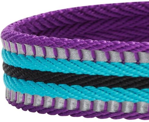 Show full view: Blueberry Pet 3M Multi-Colored Stripe Polyester Reflective Dog Collar, Violet & Celeste, Small: 12 to 16-in neck, 5/8-in wide slide 4 of 8