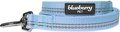 Blueberry Pet 3M Pastel Polyester Reflective Dog Leash, Baby Blue, Large: 4-ft long, 1-in wide