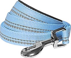 Blueberry Pet 3M Pastel Polyester Reflective Dog Leash, Baby Blue, Large: 4-ft long, 1-in wide slide 2 of 5