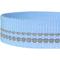 Show in main carousel: Blueberry Pet 3M Pastel Polyester Reflective Dog Leash, Baby Blue, Large: 4-ft long, 1-in wide slide 3 of 5
