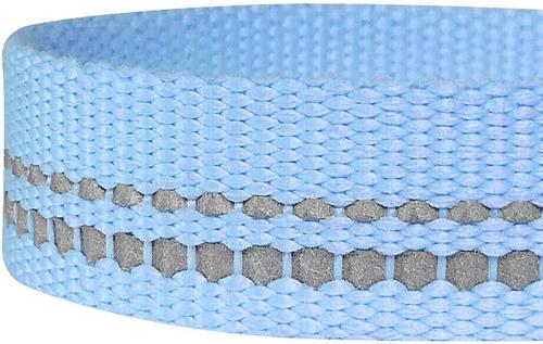 Show full view: Blueberry Pet 3M Pastel Polyester Reflective Dog Leash, Baby Blue, Large: 4-ft long, 1-in wide slide 3 of 5