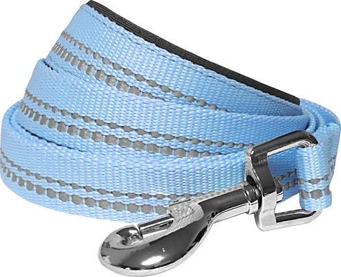 Show full view: Blueberry Pet 3M Pastel Polyester Reflective Dog Leash, Baby Blue, Medium: 5-ft long, 3/4-in wide slide 3 of 6
