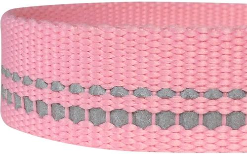 Show full view: Blueberry Pet 3M Pastel Polyester Reflective Dog Leash, Baby Pink, Large: 4-ft long, 1-in wide slide 4 of 6