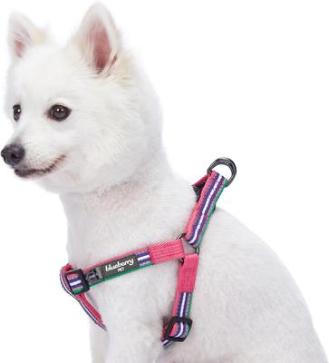 Show full view: Blueberry Pet 3M Reflective Multi Color Stripe Mesh Padded No Pull Dog Harness Vest, Pink/Emerald/Orchid, Medium: 20 to 26-in chest slide 1 of 5