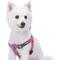 Show in main carousel: Blueberry Pet 3M Reflective Multi Color Stripe Mesh Padded No Pull Dog Harness Vest, Pink/Emerald/Orchid, Medium: 20 to 26-in chest slide 2 of 5