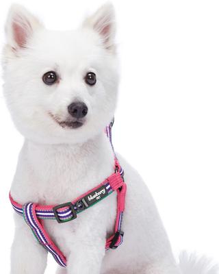 Show full view: Blueberry Pet 3M Reflective Multi Color Stripe Mesh Padded No Pull Dog Harness Vest, Pink/Emerald/Orchid, Medium: 20 to 26-in chest slide 2 of 5