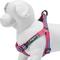 Show in main carousel: Blueberry Pet 3M Reflective Multi Color Stripe Mesh Padded No Pull Dog Harness Vest, Pink/Emerald/Orchid, Small: 16.5 to 21.5-in chest slide 3 of 5