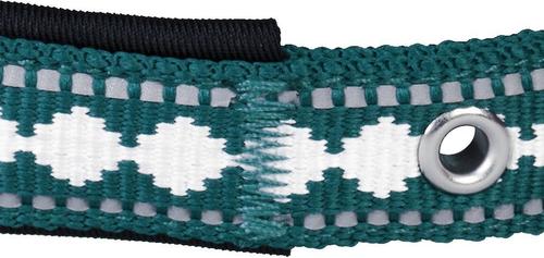 Show full view: Blueberry Pet 3M Reflective Pattern Dog Collar, Teal Blue, Large: 17 to 20.5-in neck, 1-in wide slide 5 of 9