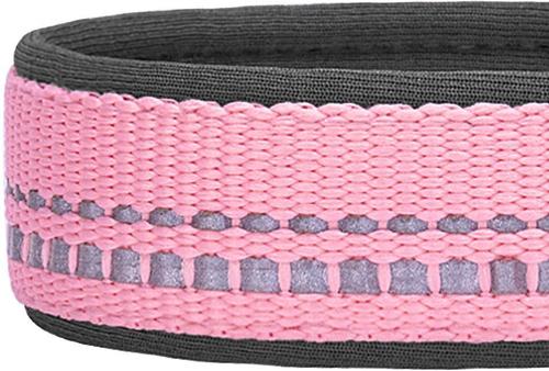 Show full view: Blueberry Pet 3M Spring Pastel Polyester Reflective Dog Collar, Baby Pink, Large: 18 to 26-in neck, 1-in wide slide 4 of 8