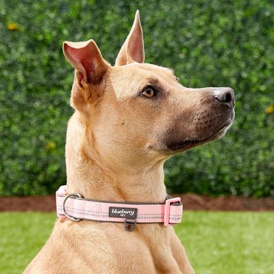 Show full view: Blueberry Pet 3M Spring Pastel Polyester Reflective Dog Collar, Baby Pink, Large: 18 to 26-in neck, 1-in wide slide 5 of 8