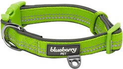 Blueberry Pet 3M Spring Pastel Polyester Reflective Dog Collar, Pastel Green, Large: 18 to 26-in neck, 1-in wide
