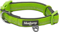 Blueberry Pet 3M Spring Pastel Polyester Reflective Dog Collar, Pastel Green, Medium: 14.5 to 20-in neck, 3/4-in wide