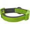 Show in main carousel: Blueberry Pet 3M Spring Pastel Polyester Reflective Dog Collar, Pastel Green, Medium: 14.5 to 20-in neck, 3/4-in wide slide 2 of 8