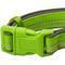 Show in main carousel: Blueberry Pet 3M Spring Pastel Polyester Reflective Dog Collar, Pastel Green, Medium: 14.5 to 20-in neck, 3/4-in wide slide 3 of 8