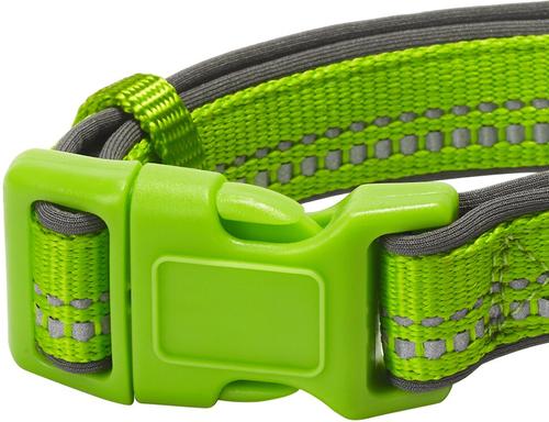 Show full view: Blueberry Pet 3M Spring Pastel Polyester Reflective Dog Collar, Pastel Green, Medium: 14.5 to 20-in neck, 3/4-in wide slide 3 of 8