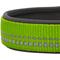 Show in main carousel: Blueberry Pet 3M Spring Pastel Polyester Reflective Dog Collar, Pastel Green, Medium: 14.5 to 20-in neck, 3/4-in wide slide 4 of 8