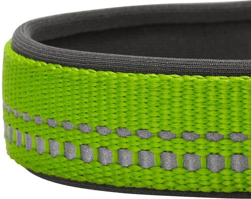 Show full view: Blueberry Pet 3M Spring Pastel Polyester Reflective Dog Collar, Pastel Green, Medium: 14.5 to 20-in neck, 3/4-in wide slide 4 of 8